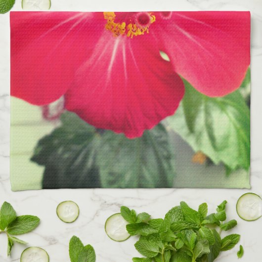 Rode bloem van Hibiscus Rosa-sinensis Theedoek (Gevouwen)