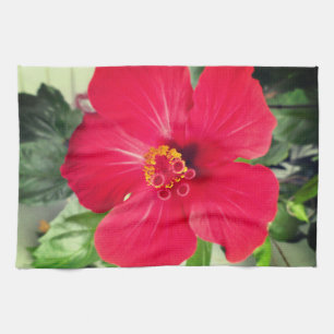 Rode bloem van Hibiscus Rosa-sinensis Theedoek