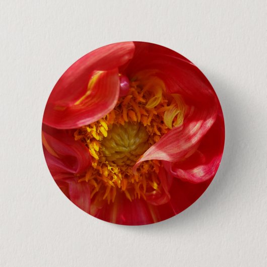 rode bloemblaadjes ronde button 5,7 cm (Voorkant)