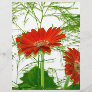 Rode Bloemen