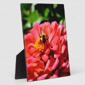  rode bloemen en honingbij fotoplaat (Zijkant)