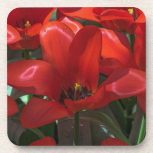 Rode bloemen harde plastic onderzetters met cork