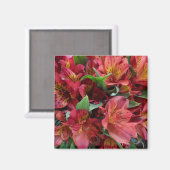 Rode bloemen magneet (Voorkant / Achterkant)