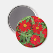 Rode bloemen met gele centers magneet (Voorkant / Achterkant)