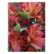 Rode bloemen