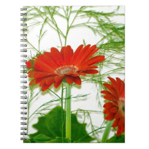 Rode Bloemen Notitieboek