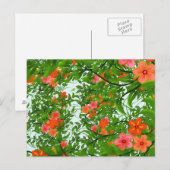 Rode Bloemen op Groen Briefkaart (Voorkant / Achterkant)