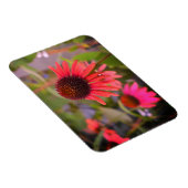 Rode bloemen op RHS Wisley Magneet (Rechterzijde)