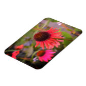 Rode bloemen op RHS Wisley Magneet (Linkerzijde)