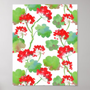 Rode bloemen (Pelargonium) Poster