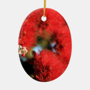 Rode bloemen Pohutukawa-boom Keramisch Ornament
