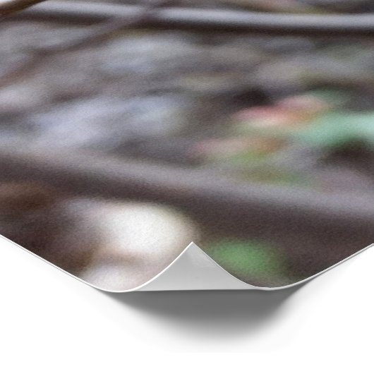 rode bloemen poster (Hoek)