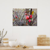 rode bloemen poster (Keuken)