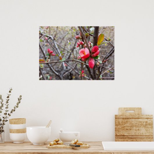 rode bloemen poster (Keuken)