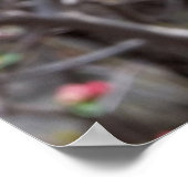 rode bloemen poster (Hoek)