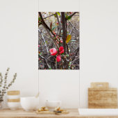 rode bloemen poster (Keuken)