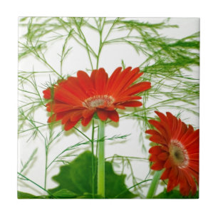 Rode bloemen tegeltje