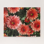 Rode bloemen van chrysanthemum legpuzzel (Horizontaal)