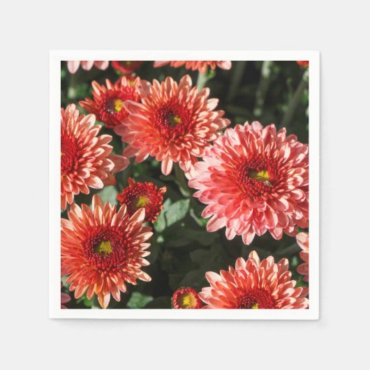 Rode bloemen van chrysanthemum servet (Voorkant)