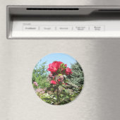  Rode Bloemen van de Foto Magnet van het Midwesten (Insitu (Vaatwasser))