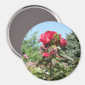  Rode Bloemen van de Foto Magnet van het Midwesten (Voorkant / Achterkant)