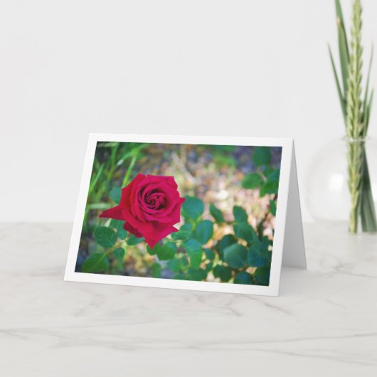 Rode bloemige roosportret kaart (Voorkant)