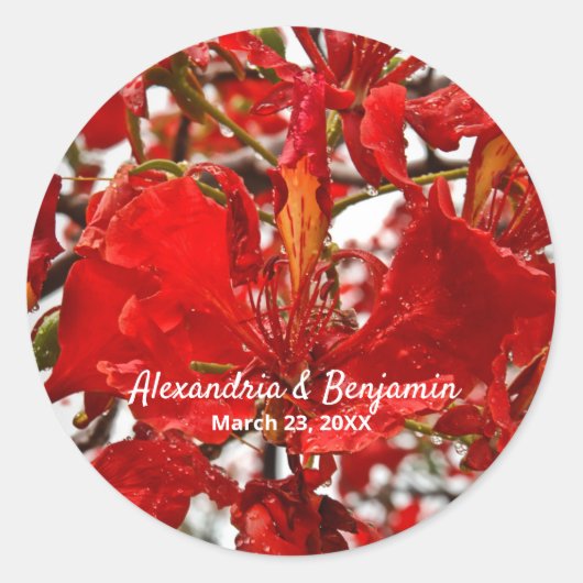 Rode bloemrijke flamboyante personaliseer natuur ronde sticker (Voorkant)