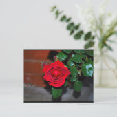 Rode bloemrozen briefkaart (Staand voorkant)