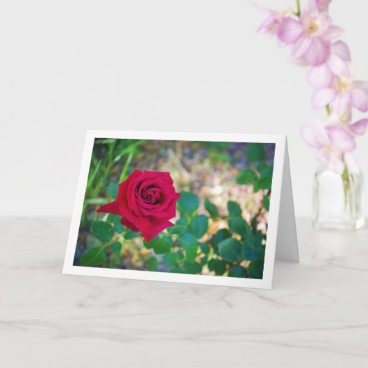 Rode bloemschilderij met roos kaart (Orchidee)