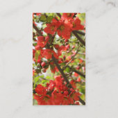 Rode bloesem Fotografie Visitekaartje (Achterkant)