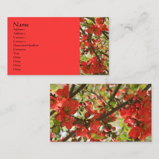 Rode bloesem Fotografie Visitekaartje (Voorkant / Achterkant)