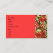 Rode bloesem Fotografie Visitekaartje (Voorkant)