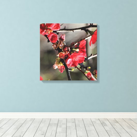 Rode bloesems Floral Canvas (Insitu (Houten vloer))