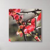 Rode bloesems Floral Canvas (Voorkant)