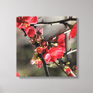 Rode bloesems Floral Canvas Afdruk