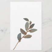 Rode Blush Bloemrozen Spel Over Onder Flyer (Achterkant)