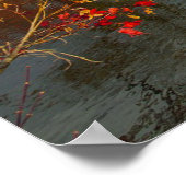 rode bomen Japanse tuinfoto Poster (Hoek)