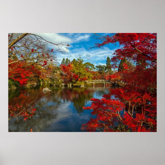 rode bomen Japanse tuinfoto Poster (Voorkant)
