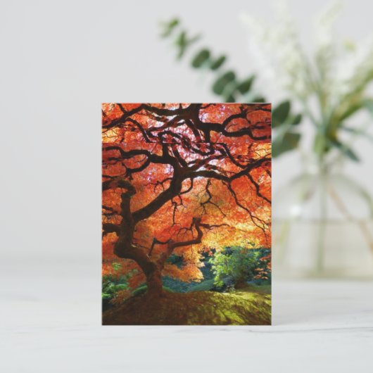 Rode boom briefkaart (Staand voorkant)