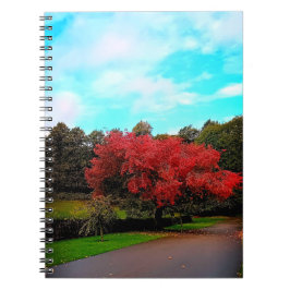 Rode boom notitieboek