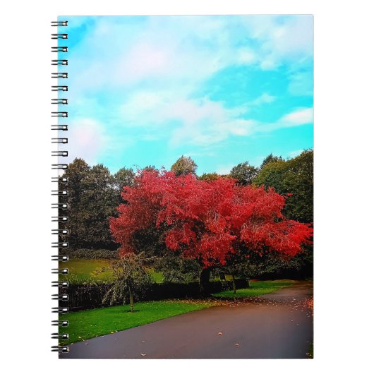Rode boom notitieboek (Voorkant)