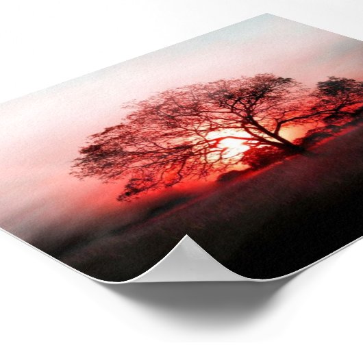 Rode boom poster (Hoek)