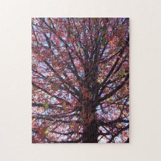 Rode boom puzzel