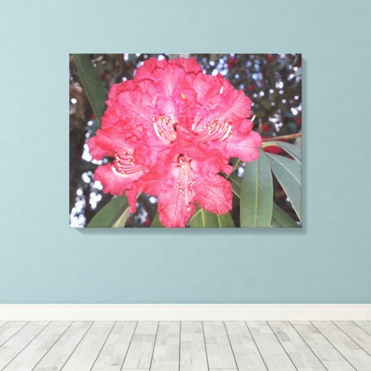 Rode boombloem canvas afdruk (Insitu (Houten vloer))