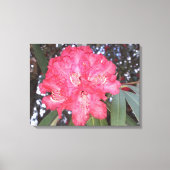 Rode boombloem canvas afdruk (Voorkant)