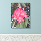 Rode boombloem canvas afdruk (Insitu (Houten vloer))