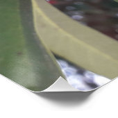 Rode boombloem perfect poster (Hoek)