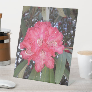 Rode boombloem reclamebord met voetstuk