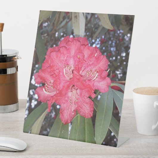 Rode boombloem reclamebord met voetstuk (Insitu)