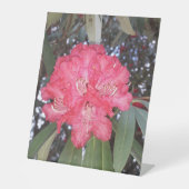 Rode boombloem reclamebord met voetstuk (Voorkant)